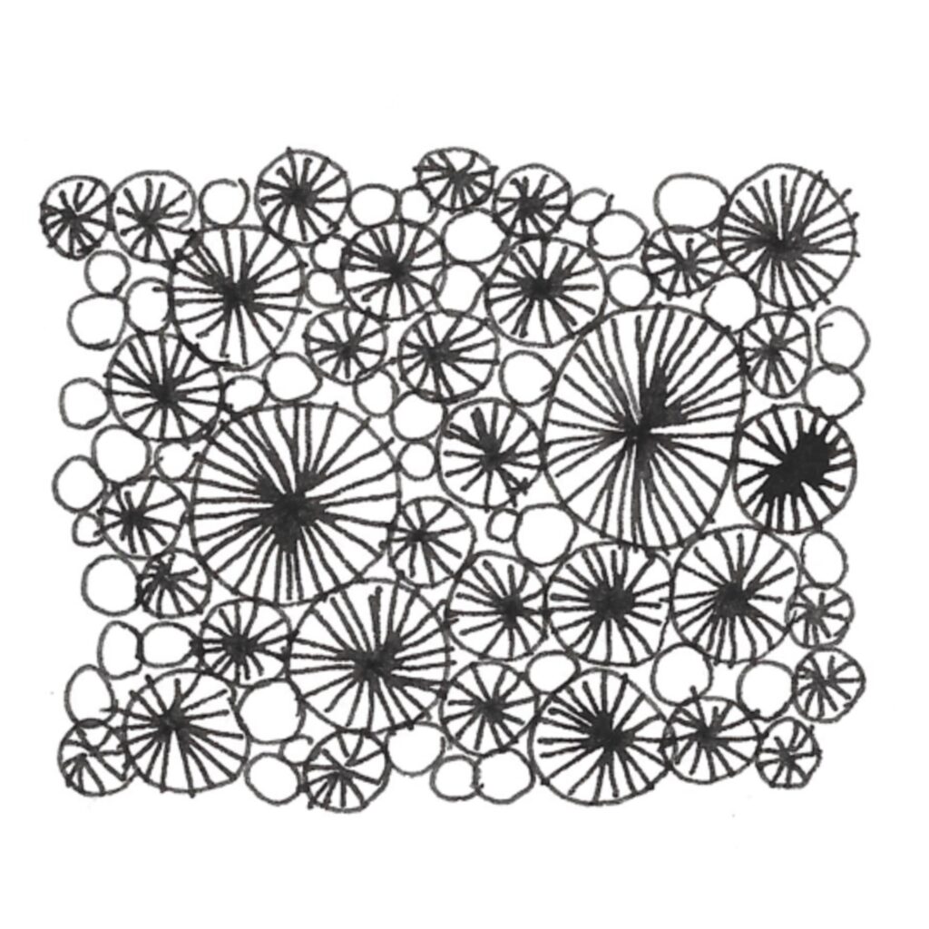 Black line circles with lines from the centre towards the edge