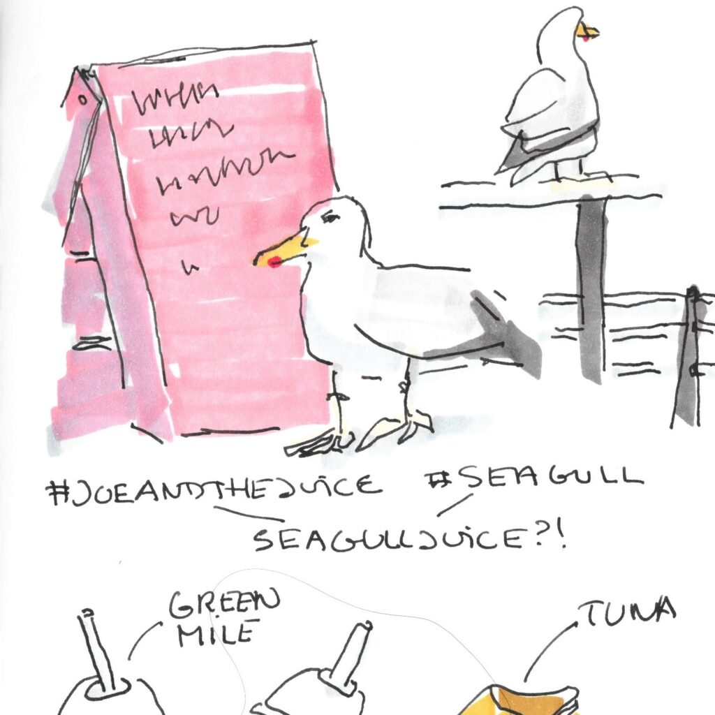 Seagul in front of a pink A-stand sign other eagul on a fence in the fron top of juice cups all drawn in black ink and a few colours added using markers